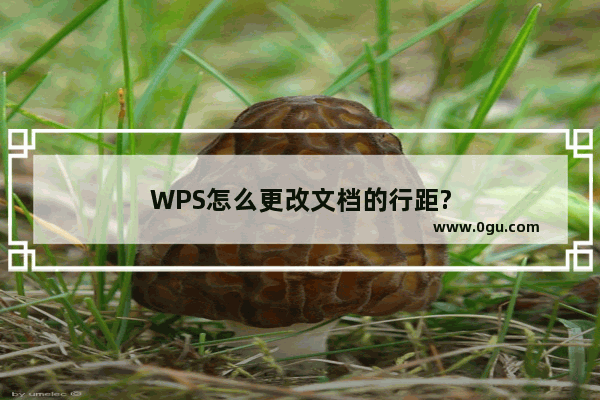 WPS怎么更改文档的行距?