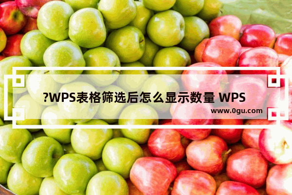 ?WPS表格筛选后怎么显示数量 WPS Excel筛选后显示计数的方法教程