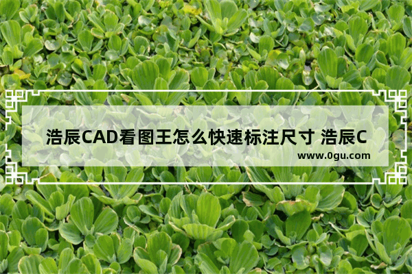 浩辰CAD看图王怎么快速标注尺寸 浩辰CAD看图王快速标注尺寸的方法