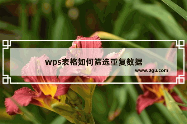 wps表格如何筛选重复数据