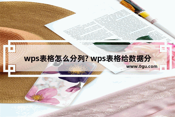 wps表格怎么分列? wps表格给数据分列的教程