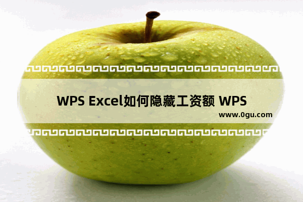 WPS Excel如何隐藏工资额 WPS Excel隐藏工资额的方法