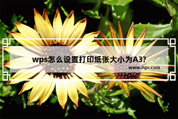 wps怎么设置打印纸张大小为A3?