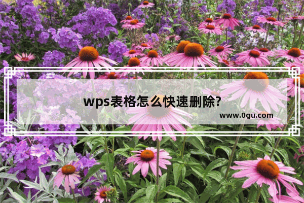 wps表格怎么快速删除?