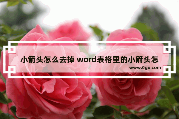 小箭头怎么去掉 word表格里的小箭头怎么去掉