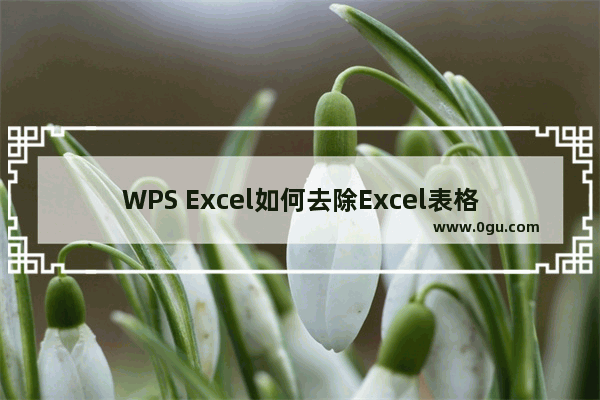 WPS Excel如何去除Excel表格虚线 WPS Excel取消Excel表格虚线的方法