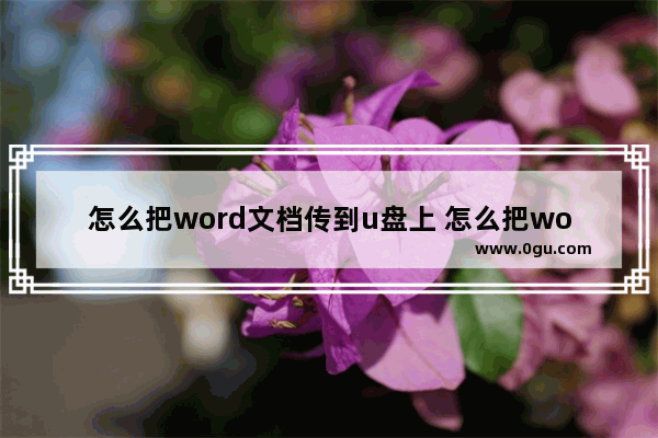 怎么把word文档传到u盘上 怎么把word文档发到u盘