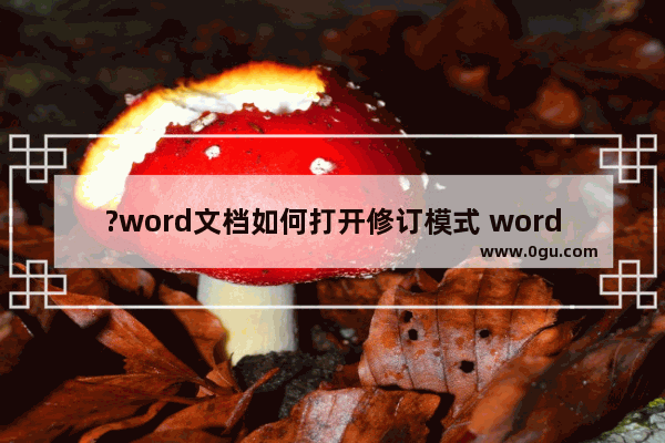 ?word文档如何打开修订模式 word文档开启修订模式的方法