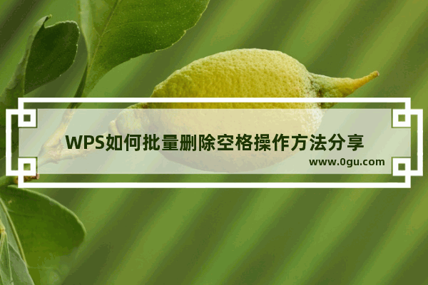 WPS如何批量删除空格操作方法分享