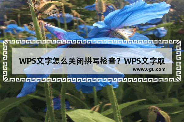 WPS文字怎么关闭拼写检查？WPS文字取消拼写检查教程