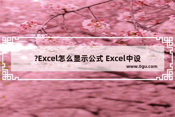 ?Excel怎么显示公式 Excel中设置显示公式而不是结果的方法教程