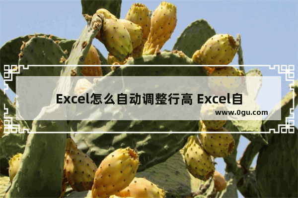 Excel怎么自动调整行高 Excel自动调整行高的方法