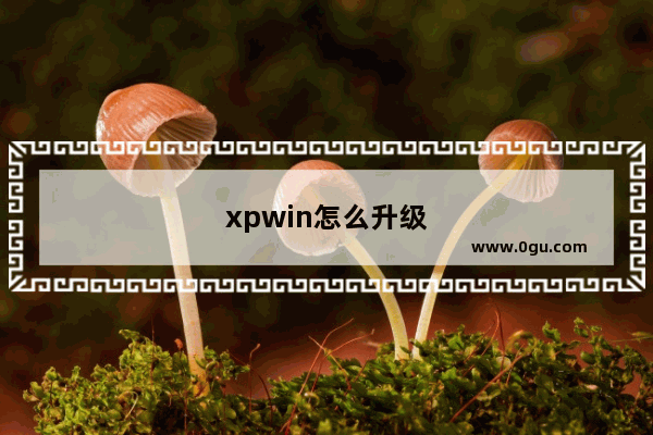 xpwin怎么升级