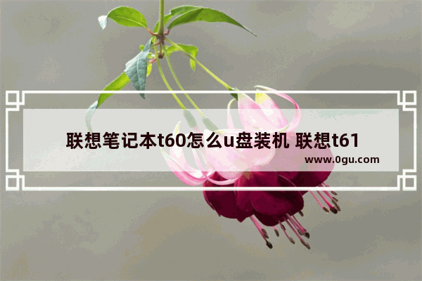 联想笔记本t60怎么u盘装机 联想t61笔记本怎样设置u盘启动