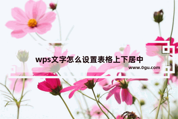 wps文字怎么设置表格上下居中