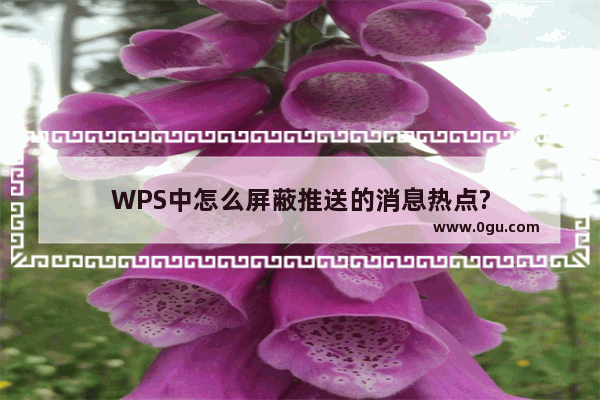 WPS中怎么屏蔽推送的消息热点?