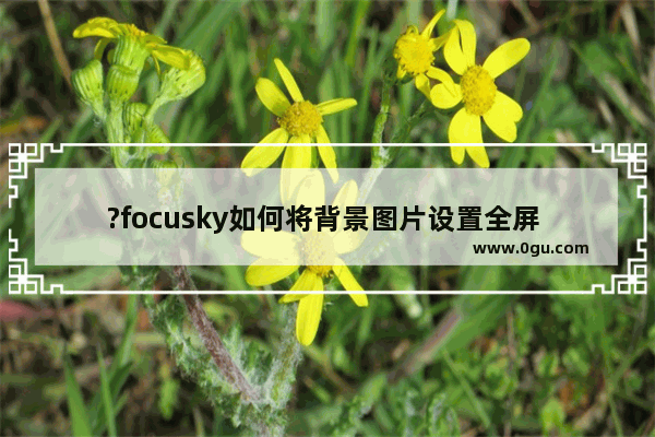 ?focusky如何将背景图片设置全屏 ?focusky背景图片设置全屏的方法