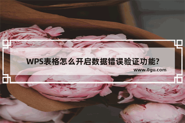 WPS表格怎么开启数据错误验证功能?