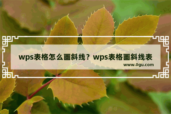 wps表格怎么画斜线？wps表格画斜线表头方法图解