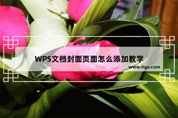 WPS文档封面页面怎么添加教学