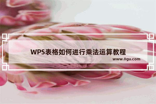 WPS表格如何进行乘法运算教程