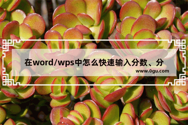 在word/wps中怎么快速输入分数、分数运算呢?