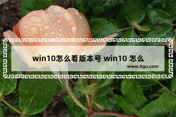 win10怎么看版本号 win10 怎么查看版本号