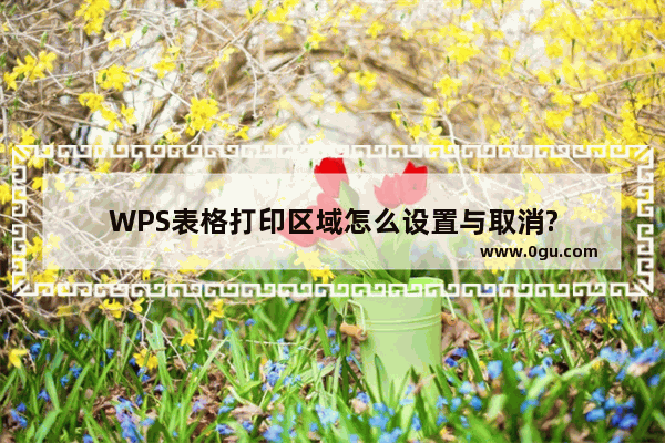 WPS表格打印区域怎么设置与取消?