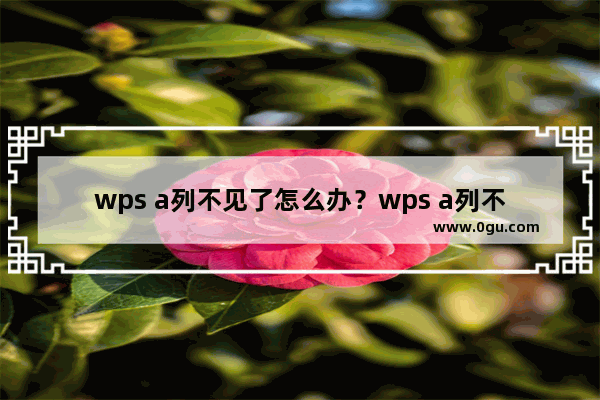 wps a列不见了怎么办？wps a列不见了的解决方法