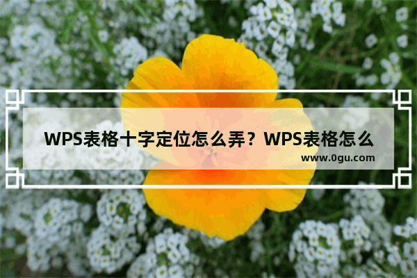 WPS表格十字定位怎么弄？WPS表格怎么设置定位单元格的十字？