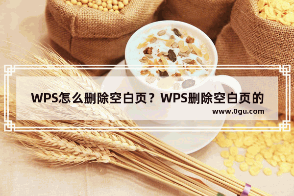 WPS怎么删除空白页？WPS删除空白页的方法