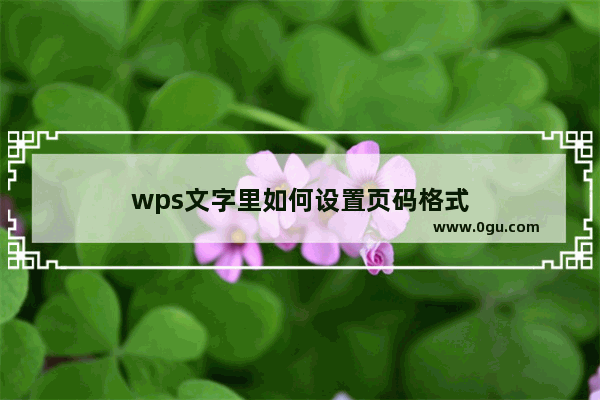 wps文字里如何设置页码格式