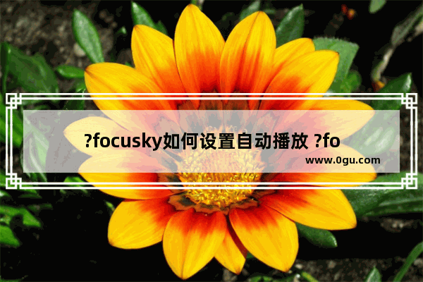 ?focusky如何设置自动播放 ?focusky设置自动播放的方