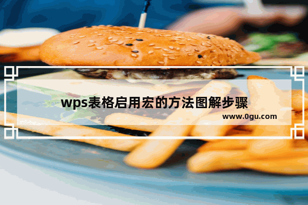 wps表格启用宏的方法图解步骤