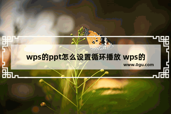 wps的ppt怎么设置循环播放 wps的ppt设置循环播放的图文教程