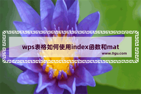 wps表格如何使用index函数和match函数