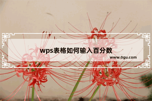 wps表格如何输入百分数