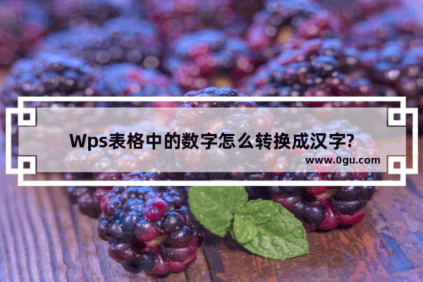 Wps表格中的数字怎么转换成汉字?