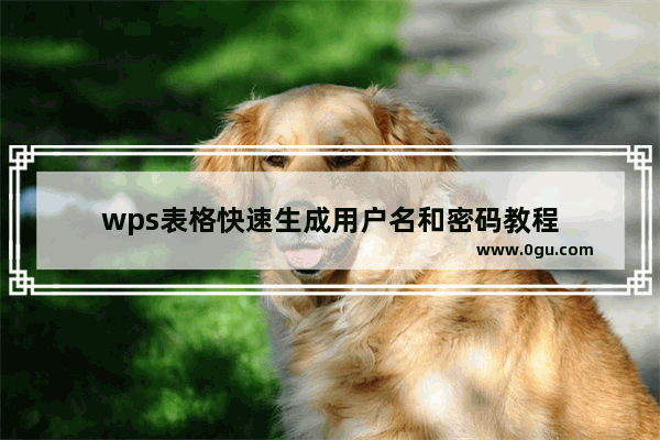 wps表格快速生成用户名和密码教程