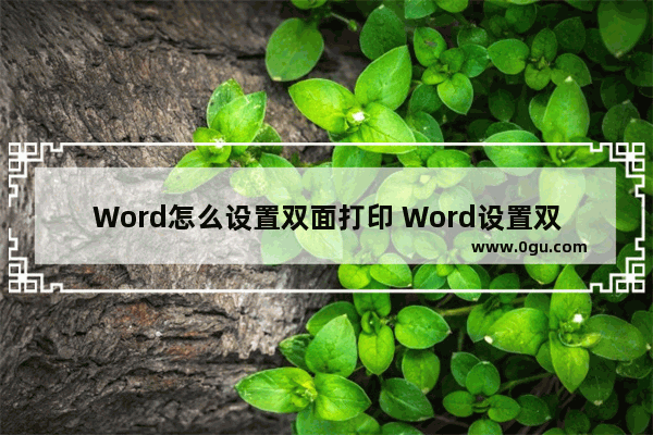 Word怎么设置双面打印 Word设置双面打印的方法