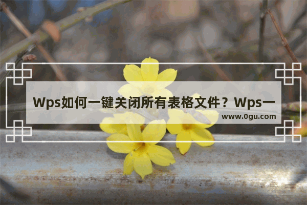 Wps如何一键关闭所有表格文件？Wps一键关闭所有表格文件的方法