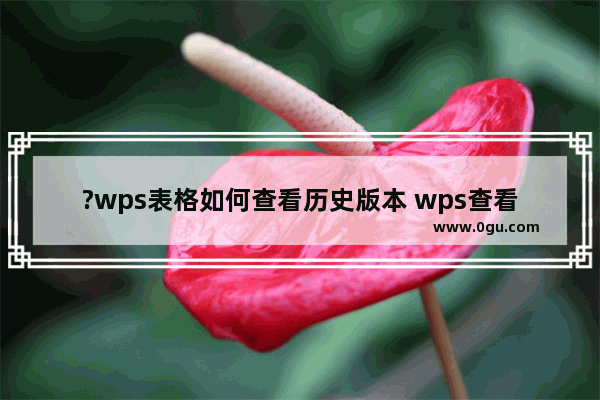 ?wps表格如何查看历史版本 wps查看表格文件历史记录的方法