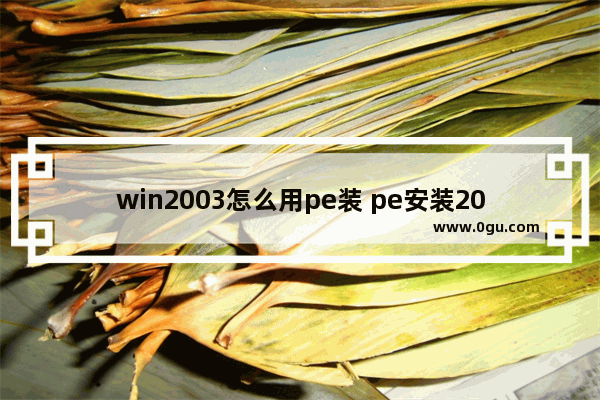 win2003怎么用pe装 pe安装2003r2