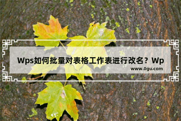 Wps如何批量对表格工作表进行改名？Wps批量对表格工作表进行改名方法