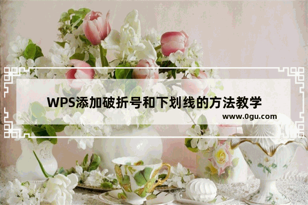 WPS添加破折号和下划线的方法教学