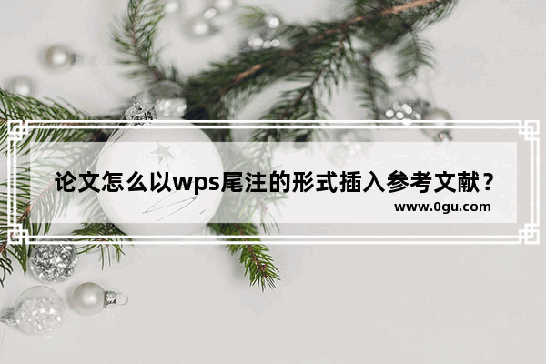 论文怎么以wps尾注的形式插入参考文献？