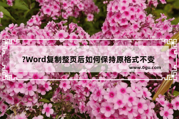 ?Word复制整页后如何保持原格式不变 Word文档复制一整页的方法教程