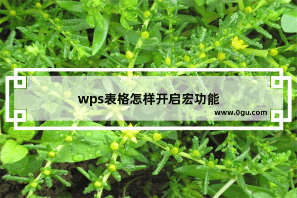 wps表格怎样开启宏功能