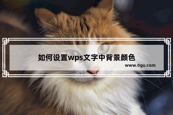 如何设置wps文字中背景颜色