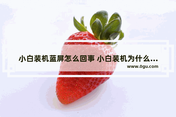 小白装机蓝屏怎么回事 小白装机为什么这么慢